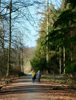 Two people push a person in a wheelchair on a dirt trail